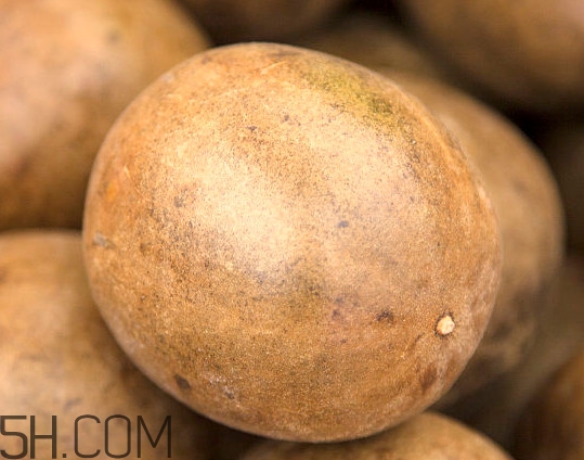 羅漢果一天最多喝幾次？羅漢果和什么相克