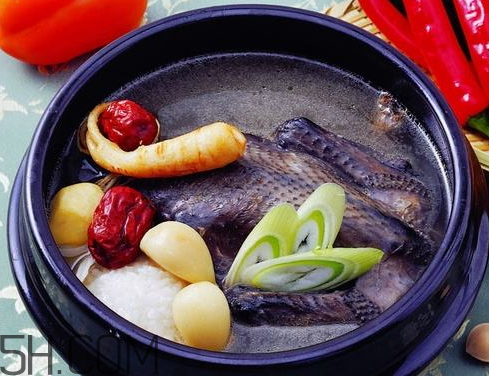 烏雞湯放什么食材好 烏雞湯用公雞還是母雞 烏雞湯放什么食材好 烏雞湯用公雞還是母雞