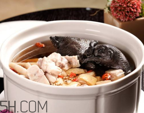 烏雞湯放什么食材好 烏雞湯用公雞還是母雞 烏雞湯放什么食材好 烏雞湯用公雞還是母雞