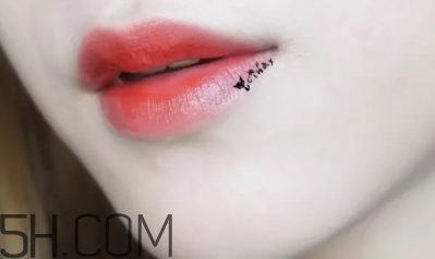 mac lady bug好看嗎？lady bug試色