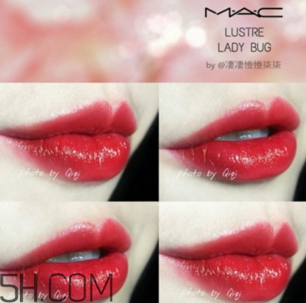 mac lady bug好看嗎？lady bug試色