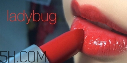 mac lady bug掉色嗎？mac ladybug真假辨別