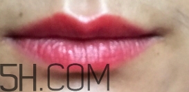 mac ladybug多少錢？mac lady bug專柜價(jià)格