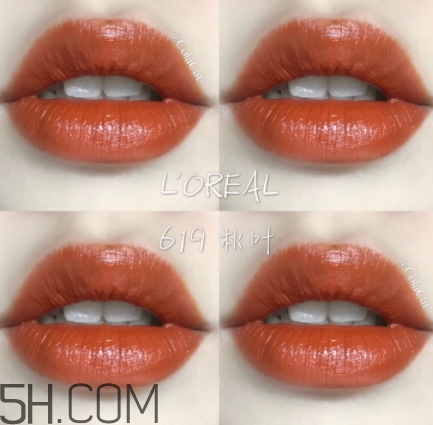 歐萊雅619秋葉試色 歐萊雅金管619好看嗎？