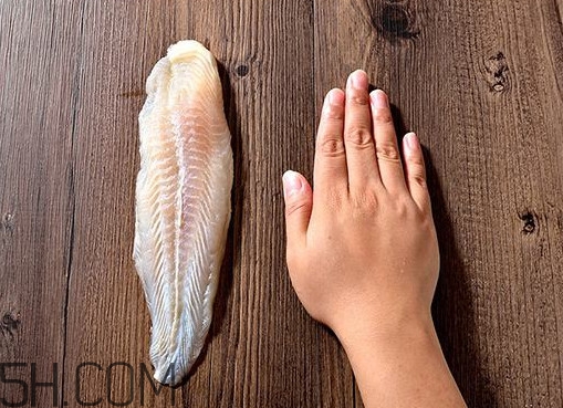 巴沙魚怎么解凍？巴沙魚怎么切片