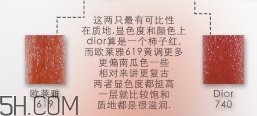 歐萊雅619和迪奧740像嗎？歐萊雅619秋葉和迪奧740對(duì)比