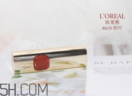 歐萊雅619和迪奧740像嗎？歐萊雅619秋葉和迪奧740對(duì)比