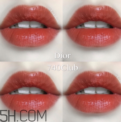 歐萊雅619和迪奧740像嗎？歐萊雅619秋葉和迪奧740對(duì)比