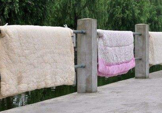 冬天曬被子要曬多久？被子曬多久能殺死螨蟲