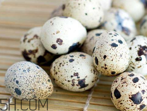 鵪鶉蛋是涼性還是熱性 鵪鶉蛋是酸性還是堿性 鵪鶉蛋是涼性還是熱性 鵪鶉蛋是酸性還是堿性