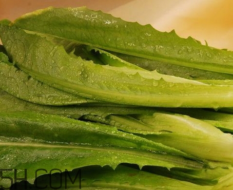 油麥菜的營(yíng)養(yǎng)價(jià)值_油麥菜的功效與作用及食用方法 油麥菜的營(yíng)養(yǎng)價(jià)值_油麥菜的功效與作用及食用方法