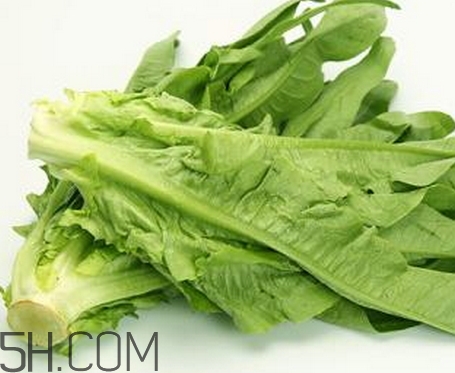 油麥菜的營(yíng)養(yǎng)價(jià)值_油麥菜的功效與作用及食用方法 油麥菜的營(yíng)養(yǎng)價(jià)值_油麥菜的功效與作用及食用方法