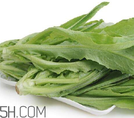 油麥菜的營(yíng)養(yǎng)價(jià)值_油麥菜的功效與作用及食用方法 油麥菜的營(yíng)養(yǎng)價(jià)值_油麥菜的功效與作用及食用方法