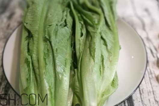 油麥菜的營(yíng)養(yǎng)價(jià)值_油麥菜的功效與作用及食用方法 油麥菜的營(yíng)養(yǎng)價(jià)值_油麥菜的功效與作用及食用方法