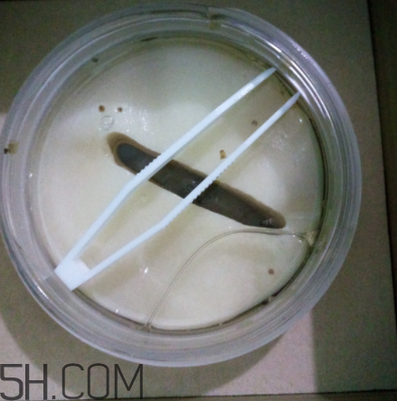 膜法世家金桂花眼膜怎么樣？膜法世家金桂花眼膜好用嗎？