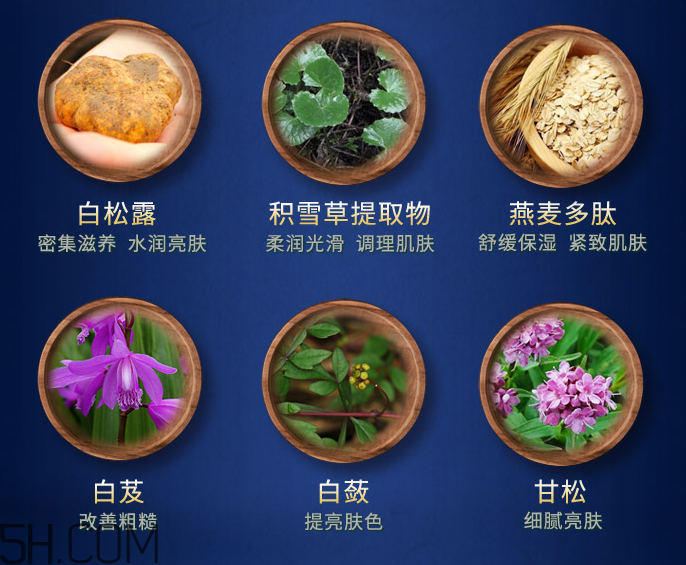 膜法世家白松露睡眠面膜 膜法世家白松露睡眠面膜