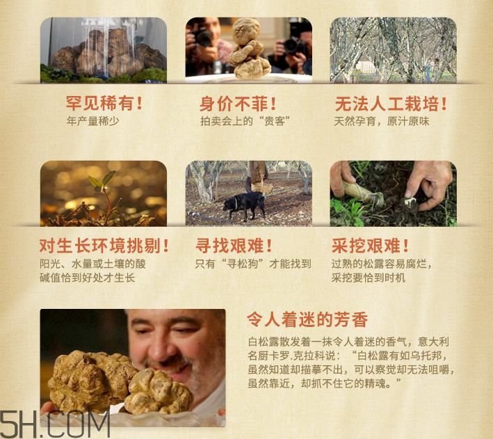 膜法世家白松露睡眠面膜 膜法世家白松露睡眠面膜