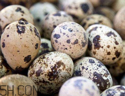 鵪鶉蛋發(fā)霉了能不能吃 鵪鶉蛋長(zhǎng)毛了還能吃嗎 鵪鶉蛋發(fā)霉了能不能吃 鵪鶉蛋長(zhǎng)毛了還能吃嗎
