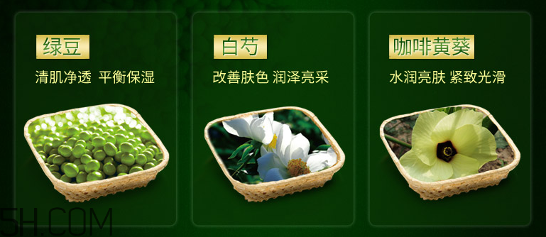 膜法世家綠豆白芍清肌亮采蠶絲面膜貼 膜法世家綠豆白芍清肌亮采蠶絲面膜貼