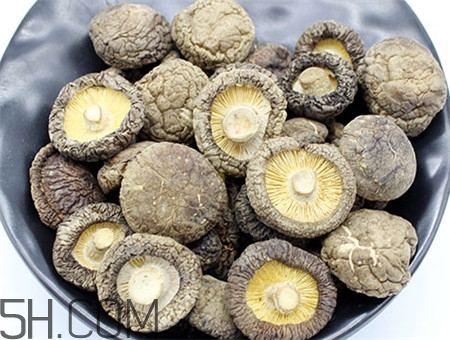 蘑菇的營(yíng)養(yǎng)價(jià)值_蘑菇的功效與作用及食用方法 蘑菇的營(yíng)養(yǎng)價(jià)值_蘑菇的功效與作用及食用方法