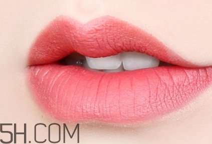 紀梵希305和304哪個好看？紀梵希305和304試色對比