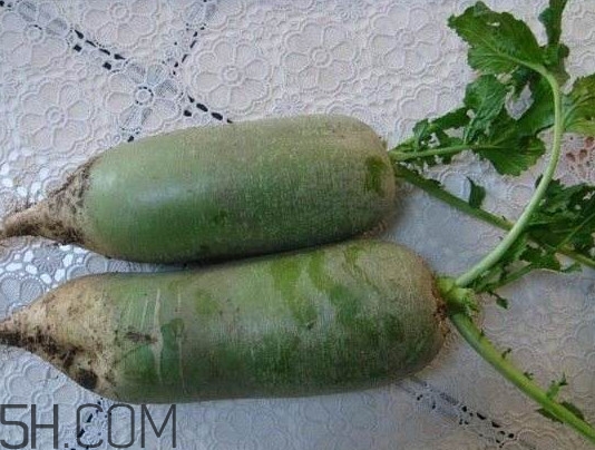 如何鑒別真假沙窩蘿卜？沙窩蘿卜怎么區(qū)分好壞