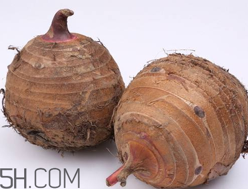 毛芋頭不能和什么一起吃 毛芋頭和什么相克 毛芋頭不能和什么一起吃 毛芋頭和什么相克