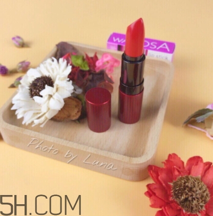 草莓紅口紅哪個牌子好？草莓紅口紅推薦