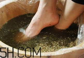 用什么泡腳比較好？艾葉泡腳還是紅花泡腳？
