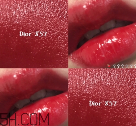 迪奧857和877哪個好看？迪奧857和877試色對比