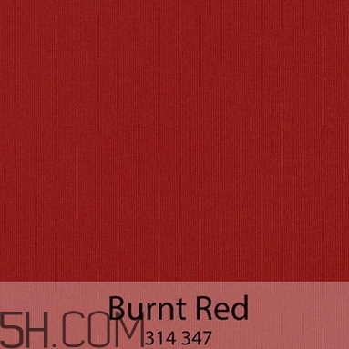 bobbi brown黑管9號(hào)試色 芭比布朗burnt red試色 bobbi brown黑管9號(hào)試色 芭比布朗burnt red試色