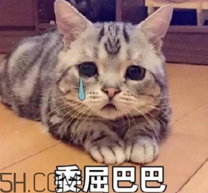 女生說我的胸好小什么意思？女生說我的胸好小怎么回復(fù)