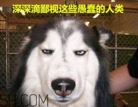 女生說我醉了什么意思？女生說喝多了怎么回復