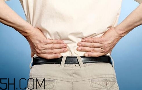 腰椎不舒服怎么辦？怎么預防腰椎間盤突出？