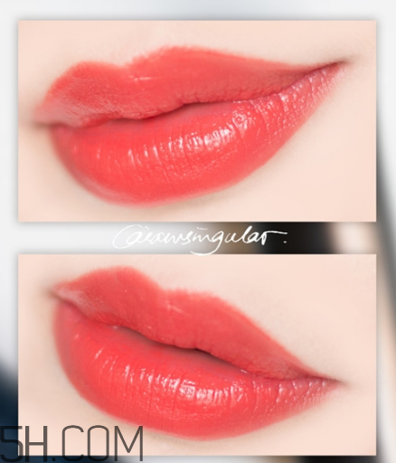 紀(jì)梵希小羊皮304是什么顏色？紀(jì)梵希小羊皮滋潤嗎？