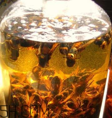 喝什么藥酒可以補(bǔ)腎壯陽？補(bǔ)腎壯陽藥酒什么時(shí)候喝好？