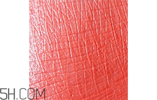 紀(jì)梵希小綠皮306試色 紀(jì)梵希小綠皮色號細管305試色