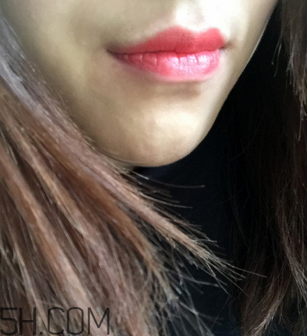 紀(jì)梵希小羊皮304是什么顏色？紀(jì)梵希小羊皮滋潤嗎？