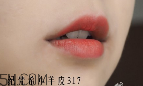 紀(jì)梵希304是西柚色嗎？紀(jì)梵希小羊皮304和317哪個(gè)好看？
