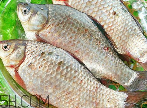 鯽魚(yú)臭了還能吃嗎 鯽魚(yú)有點(diǎn)臭了還能吃嗎 鯽魚(yú)臭了還能吃嗎 鯽魚(yú)有點(diǎn)臭了還能吃嗎