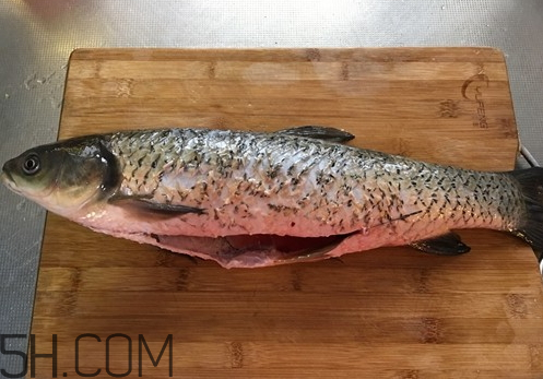 草魚(yú)死了多久不能吃 草魚(yú)死了還能吃嗎 草魚(yú)死了多久不能吃 草魚(yú)死了還能吃嗎