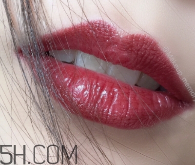 牛血色口紅哪個牌子好？牛血紅口紅推薦