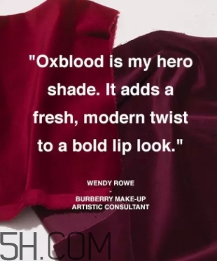 牛血色口紅哪個牌子好？牛血紅口紅推薦