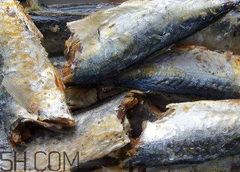 魚干長毛了可以食用嗎 魚干長綠毛了還能吃嗎 魚干長毛了可以食用嗎 魚干長綠毛了還能吃嗎