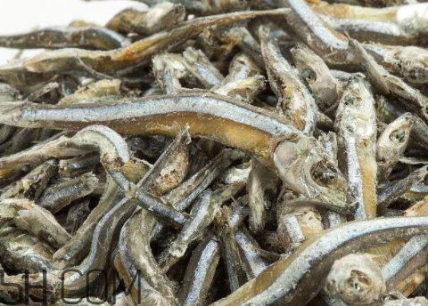 魚干長毛了可以食用嗎 魚干長綠毛了還能吃嗎 魚干長毛了可以食用嗎 魚干長綠毛了還能吃嗎