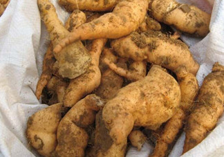 鮮地黃為什么要冷凍？鮮地黃有沒有什么副作用？