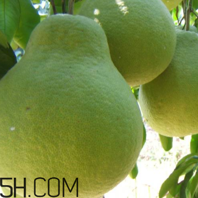 吃柚子頭暈怎么回事？吃柚子頭暈怎么辦？