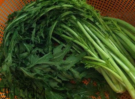 十斤雪里紅放多少鹽 10斤雪里紅放多少鹽 十斤雪里紅放多少鹽 10斤雪里紅放多少鹽