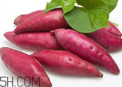 一斤紅薯能出多少淀粉 100斤紅薯出多少淀粉 一斤紅薯能出多少淀粉 100斤紅薯出多少淀粉