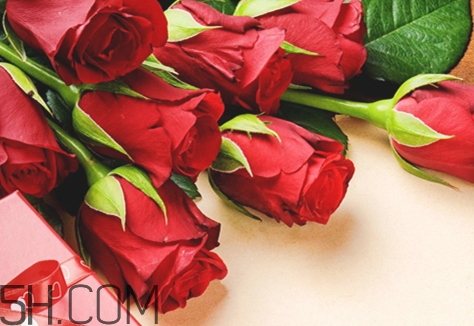 女生說so是什么意思？女生說so該怎么回答